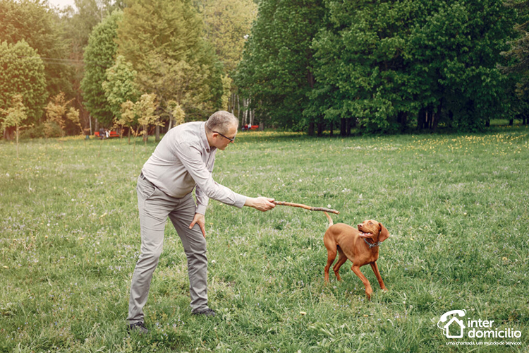 BENEFÍCIOS DOS CÃES PARA OS IDOSOS