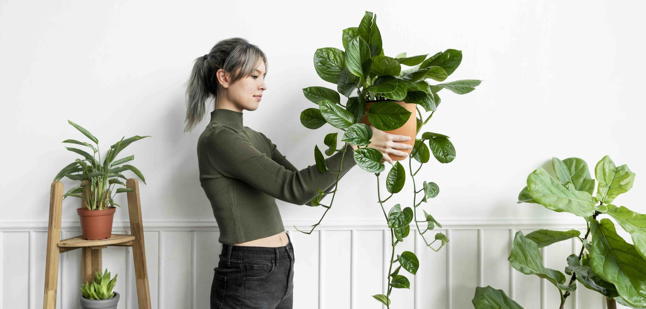 DECORAR A CASA COM PLANTAS: BENEFÍCIOS E CONSELHOS