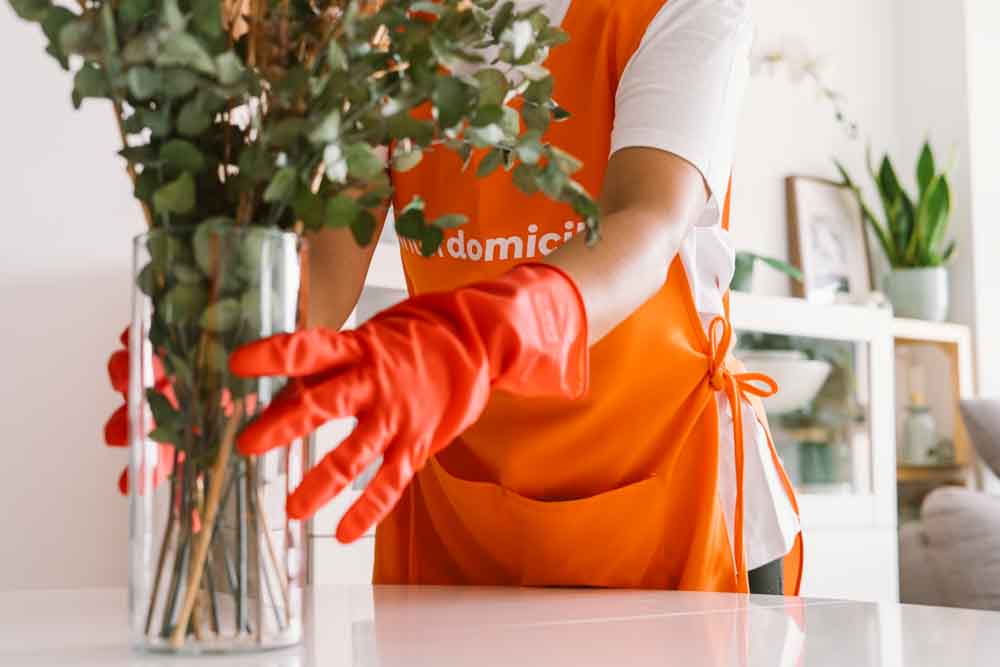Especializados em Empregadas domésticas